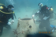 "Cấy" san hô cho thiên đường biển Côn Đảo