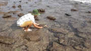 Vườn quốc gia Côn Đảo giải cứu 01 cá thể rùa biển quý hiếm khỏi rác thải nhựa