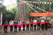 Lễ kỷ niệm 25 năm thành lập Vườn quốc gia Côn Đảo và đón nhận bằng công nhận cây Di sản Việt Nam