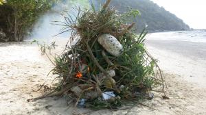 Tổ chức thực hiện vệ sinh các bãi đẻ trứng của rùa biển 