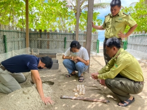 TRẠM KIỂM LÂM BẾN ĐẦM DI DỜI TỔ TRỨNG ĐẦU TIÊN VỀ HỒ ẤP ĐẤT DỐC NĂM 2022