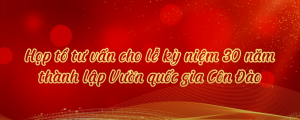 Ban quản lý Vườn quốc gia Côn Đảo Họp tổ tư vấn cho lễ kỷ niệm 30 năm thành lập Vườn