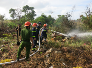 Ban quản lý vườn quốc gia Côn Đảo tham gia diễn tập chữa cháy rừng quy mô cấp huyện năm 2023