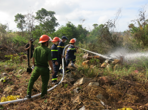 Ban quản lý Vườn Quốc gia Côn Đảo: 300 cán bộ, chiến sĩ, Kiểm lâm, quần chúng, y tế tham gia diễn tập phòng, chống cháy rừng năm 2023