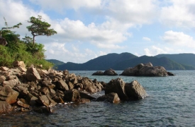 CON DAO NATURE