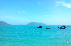 Con Dao Discovery