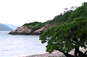 CAU ISLAND