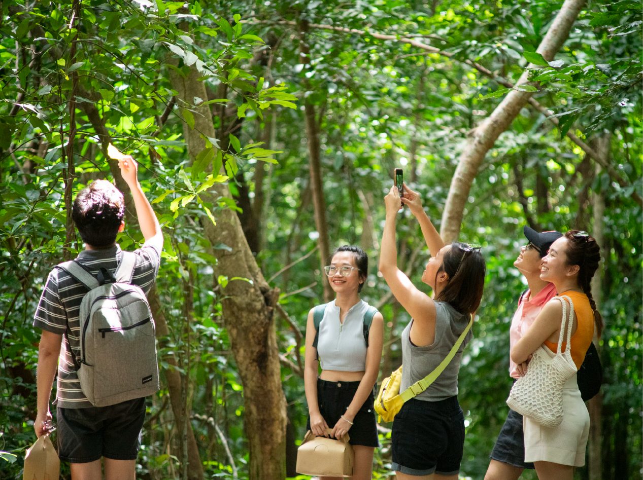 Trekking Vịnh Đầm Tre -  See coral reefs and obversing giant clams