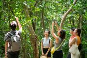 Trekking Vịnh Đầm Tre -  See coral reefs and obversing giant clams