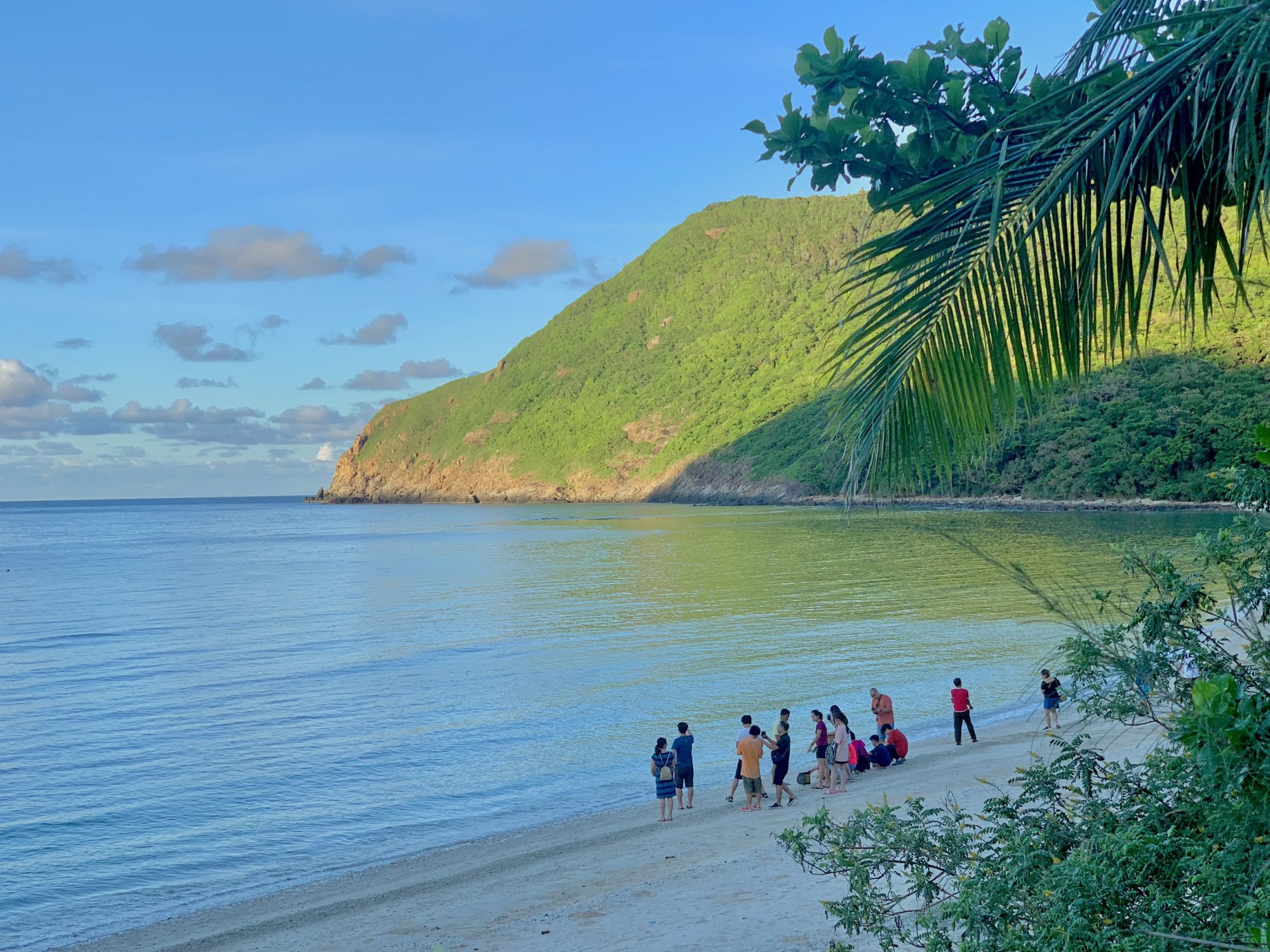 CON DAO NATURE