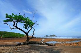 HIKING DAT THAM BEACH