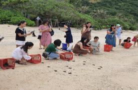 RELEASE BABY TURTLE INTO THE OCAEAN