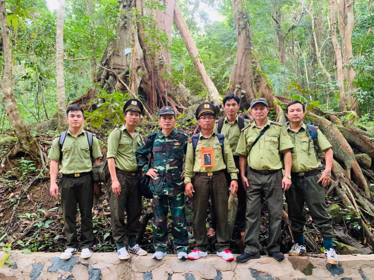 Quản lý bảo vệ, bảo tồn