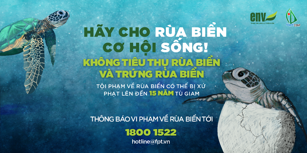 Bảo vệ rùa biển